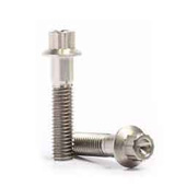 12 Point Flange Bolts Stainless Steel