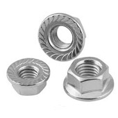 304L Stainless Steel Serrated Flange Nuts