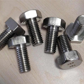 Duplex Steel UNS S32205 Heavy Hex Bolts