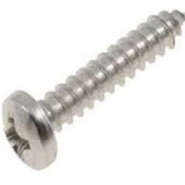 Incoloy Grade 800 Self Tapping Screw