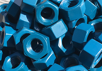 PTFE Coated Nuts
