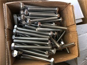 packaging of Stainless Steel Hex Bolts
